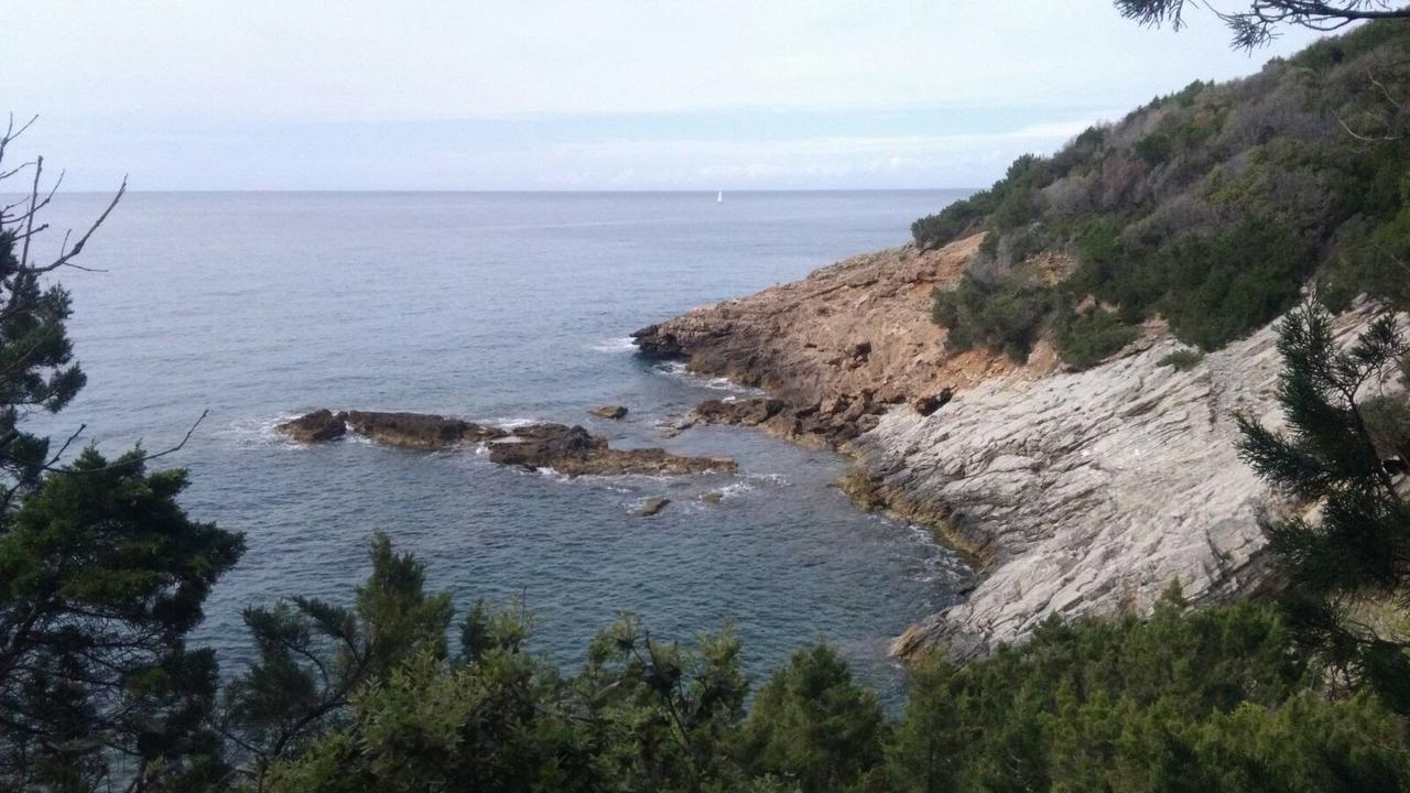 Casa San Giuseppe - Isola D'Elba Hotel Cavo Luaran gambar